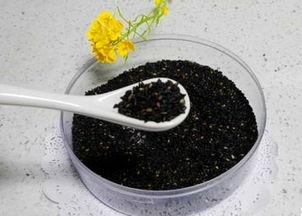 爆料黑芝麻丸怎么做的视频,传统养生美食的秘籍分享